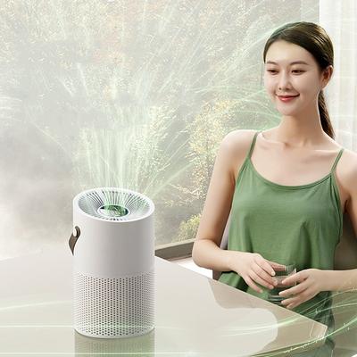 Elektronika do klimatyzacji – Oczyszczacze powietrza