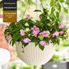 Creative Hanging Plant Basket with Chain