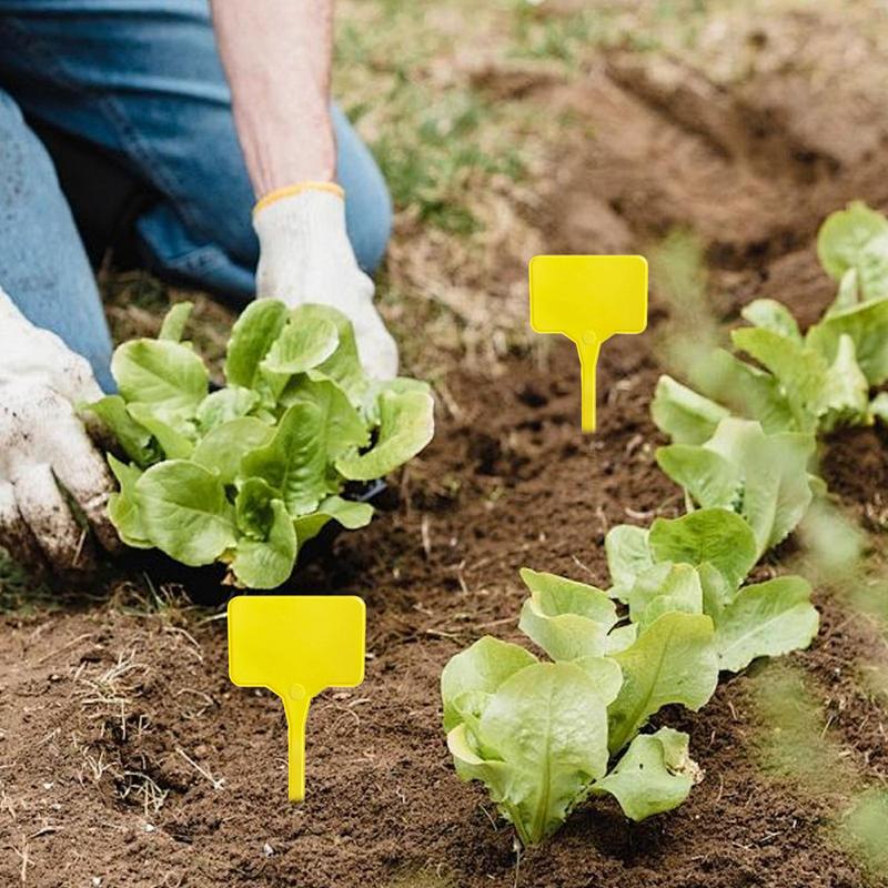 Pflanzenstecketiketten 100 Stück T-Form Sukkulenten Markierungsetiketten Sämlingsanzucht Namensschild Beschreibbares Gartenpflanzenetikett für Sukkulenten