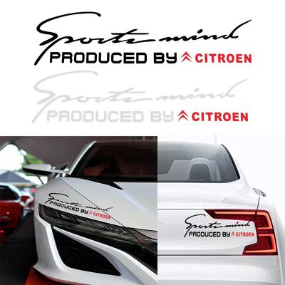 Acessórios de exterior – Adesivos para carros