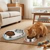 Non Slip Pet Water Feeder Large Capacity Pet Food Container Stainless Steel Cat Bowl  For Dogs Cats