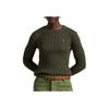Polo Ralph Lauren Logo Embroidered Pullover Crew Neck Long Sleeve Knit Sweater Women Sweater Green 211891640-030