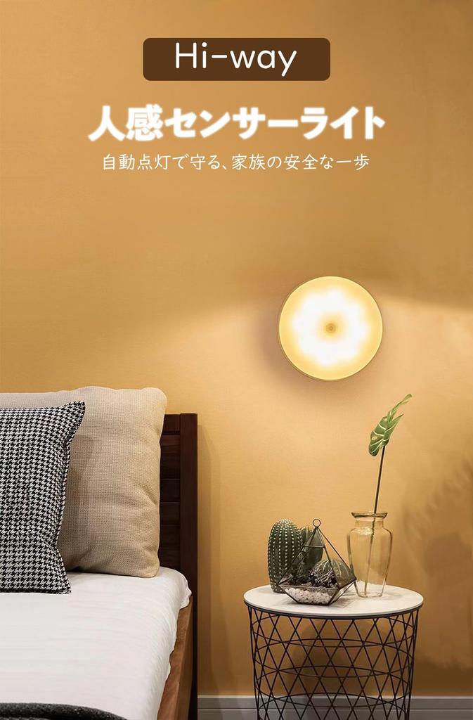 ZHOUMIN LED Sensor Automatic 2 Colors Motion Sensor Indirect Stepless for Indoor Use Pack Japanese Instructions Light, Activation, Type-C