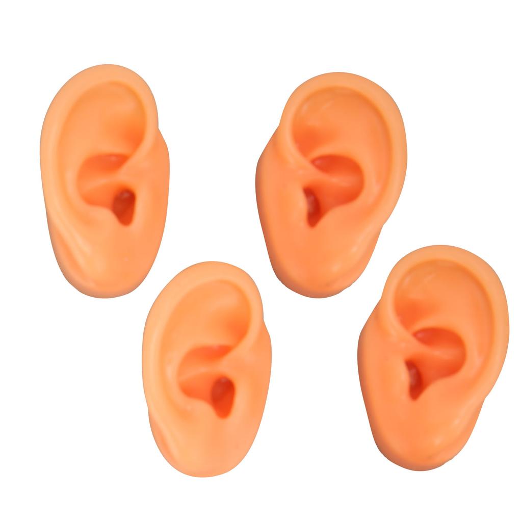 Modelo de Oreja Humana Modelo de Oreja de Silicona con Soporte Acrílico para Instrucciones de Enseñanza Exhibición de Escaparate