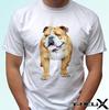 Bulldog English - Dog Kids Boys T-Shirt Top Tee Design - S S Kids Baby Sizes