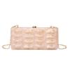 Acrylic Evening Bag Ladies Clip Design Wedding Party Clutch Purses And Handbag Chain Shoulder Crossbody Bags