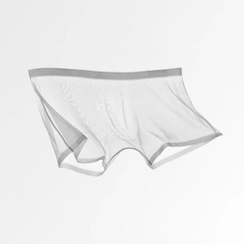 Pánské spodní prádlo Transparentní boxerky Bulge Ice Silk Průhledné spodky Sexy kalhotky Kalhotky s nízkým pasem Spodní prádlo Intimky