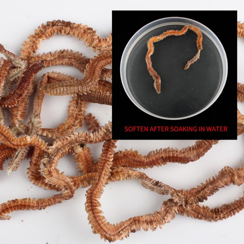 Sandworm Fishing Bait 10g Dried Sandworms Red Worm Fishing Lure