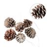 Natural Wood Powder Substrate DIY Pine Cone Set of 6 Small Christmas Craft Decoration Pine Cones Exquisite and Decorative
