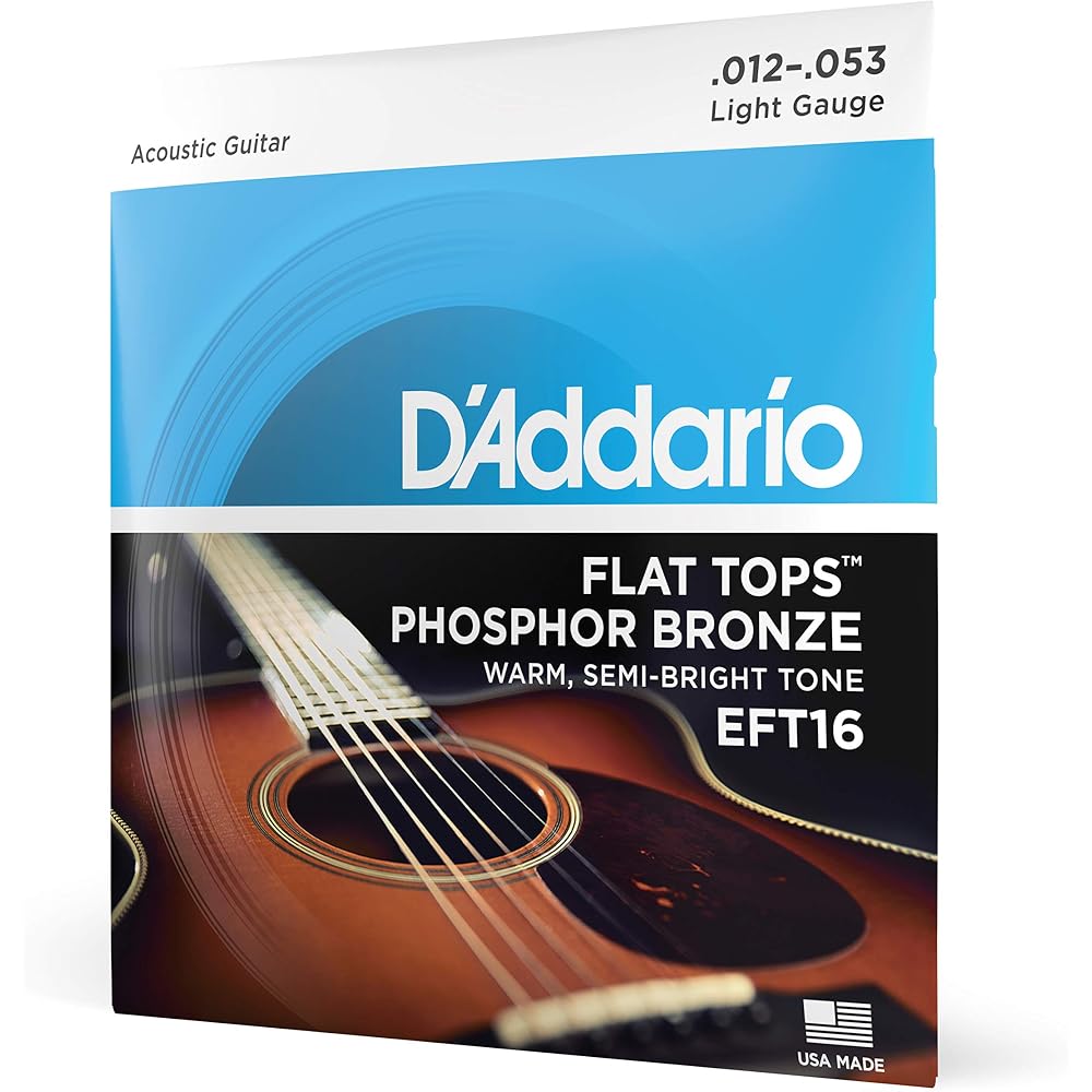 D Addario Flat Tops Phosphor Bronze Acoustic Guitar Strings Regular Light .012-.053 EFT16
