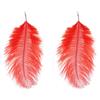 Ethnic Style Long Feather Earrings, Travel Photo Accessories, Stage Catwalk Performance Feather Accessories