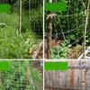 1pc- Garden Climbing Net Trellis Netting Heavy-Duty Plant Support Stand for Flowers Vegetable Vine Orchard Gardening Tools