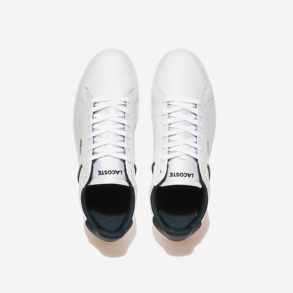 スニーカー LACOSTE europa base 7-48SMA0113 Lacoste Europa Base 7 48sma0113 Wht Dk Grn – buy the best