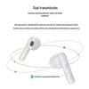 JBL C260 TWS True Wireless Earbuds