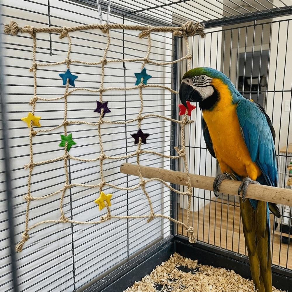 Chewing Biting Parrot Climbing Net Colorful Star Bird Stand Net Bird Hammock Pet Bird