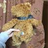 [USED] Teddy bear plush toy price reduction available