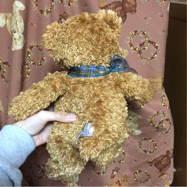 [USED] Teddy bear plush toy price reduction available