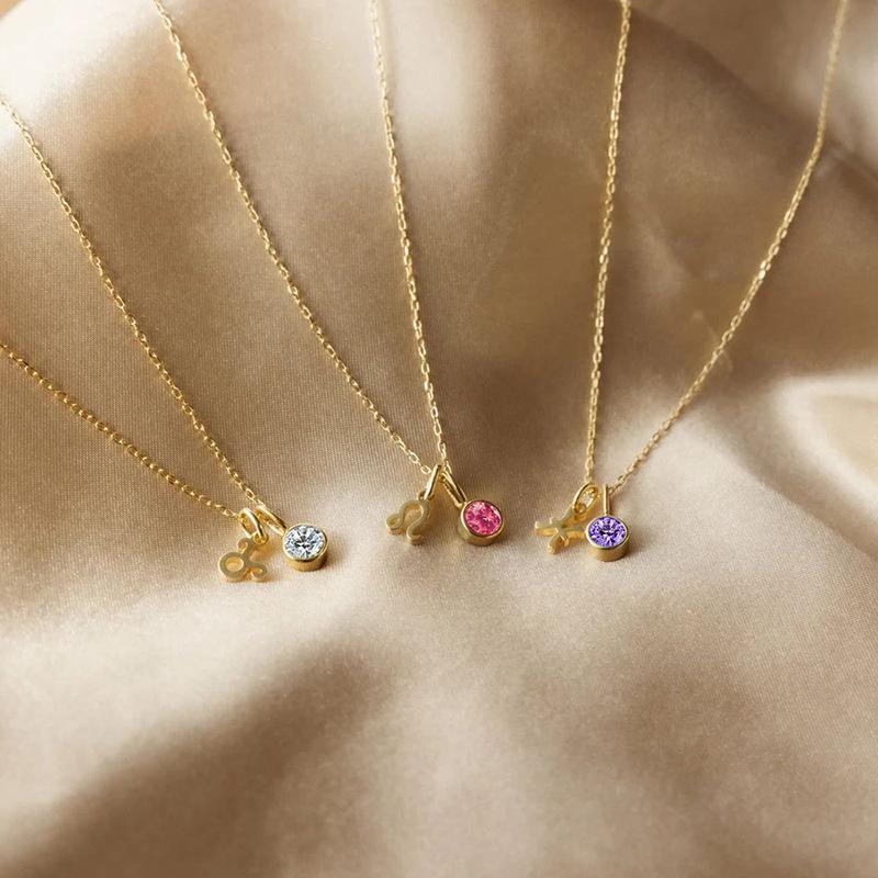 eManco Zodiac Rune Necklace with Rhinestone Birthstone in Stainless Steel