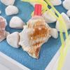 Tourismus Halskette Horn Kinder Kreativ Kinder Muschel Versand Überlebenswerkzeug Spielzeug Muschel Pfeife Geschenk