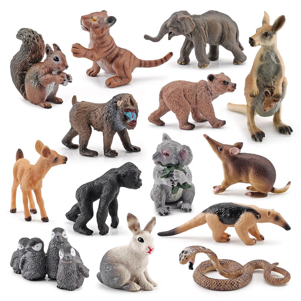 Squirrel Animal Model Set With Pvc Realistic Figures For Educational Play And Collecting Enthusiasts