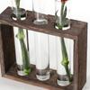Blumenzwiebelvase mit Vintage-Holzständer für Hydrokulturpflanzen, Tisch-Glaspflanzgefäß