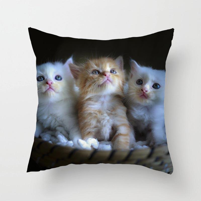 Милый кот, диван, наволочка, наволочка, кровать, дом, гостиная, автомобиль, офис 40x40cm