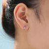 5 Pairs 316L Stainless Steel Hoop Earrings 8mm-16mm Small Hoop Earrings for Women Men, Silver