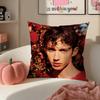 TTroye Sivan Cushion Cover Pillowcase Short Plush Invisible zipper Room Sofa Cushion Cover