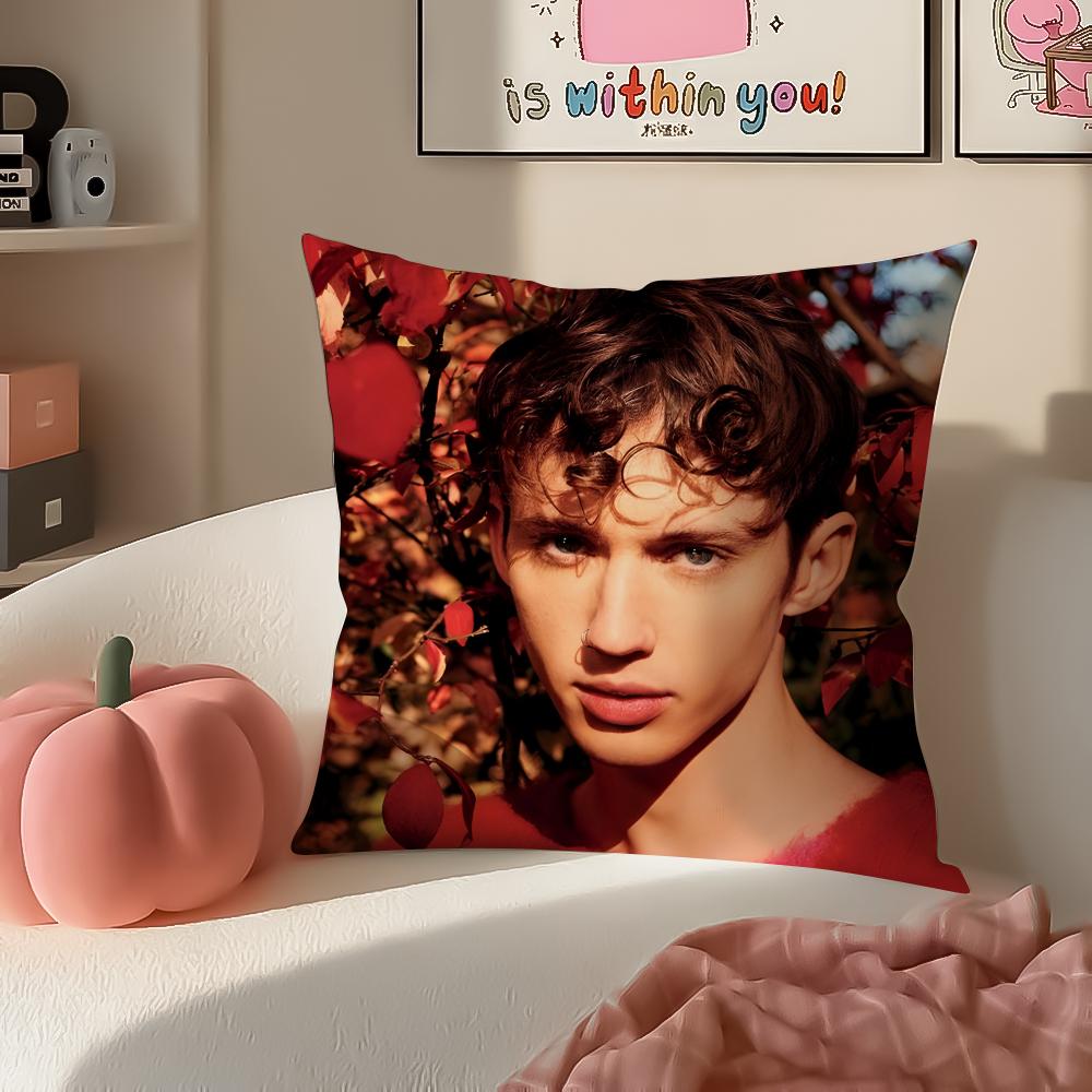 TTroye Sivan Cushion Cover Pillowcase Short Plush Invisible zipper Room Sofa Cushion Cover