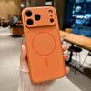 ForMagsafe Litchi Texture Leather Magnetic Case For iPhone 17 Air 16 15 14 13 Pro Max Frosted Large Window Shockproof Cover