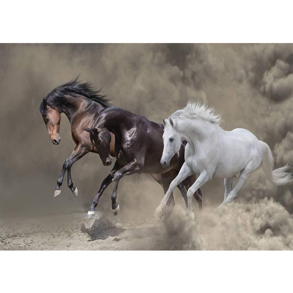 5D DIY Diamond Painting Animal Cross Stitch Kit Full Diamond Embroidery Horse Rhinestone Picture Mosaic Home Decoration Gift