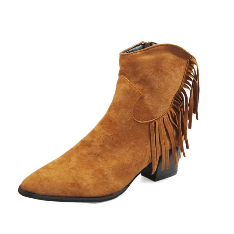 Fashion Shoes Female 2024 Plus Size Ankle Women's Boots Retro Modern Boots Women Fringe Pointed Toe Side Zip Chunky Heels Ladies Shoes