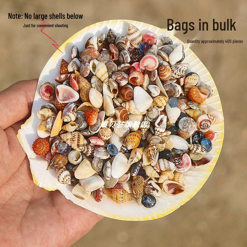 

Wishing Bottle: DIY Kit with Mini Seashells, Starfish, and Sand - Handmade Natural Decor