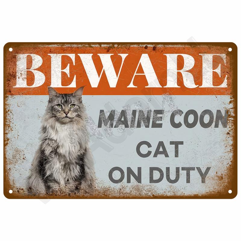 Vintage Room Decoration Home Decor Items Tin Signs Aesthetic Men Bedroom Metal Signs Retro Metal Plate Posters Wall Art Mural