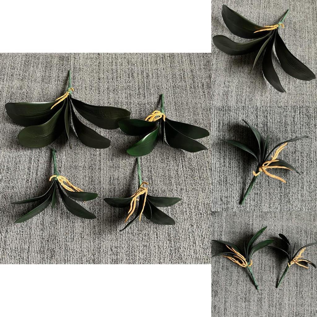 Artificial Eva Phalaenopsis Orchid Leaf For Flower Arrangement And Decor