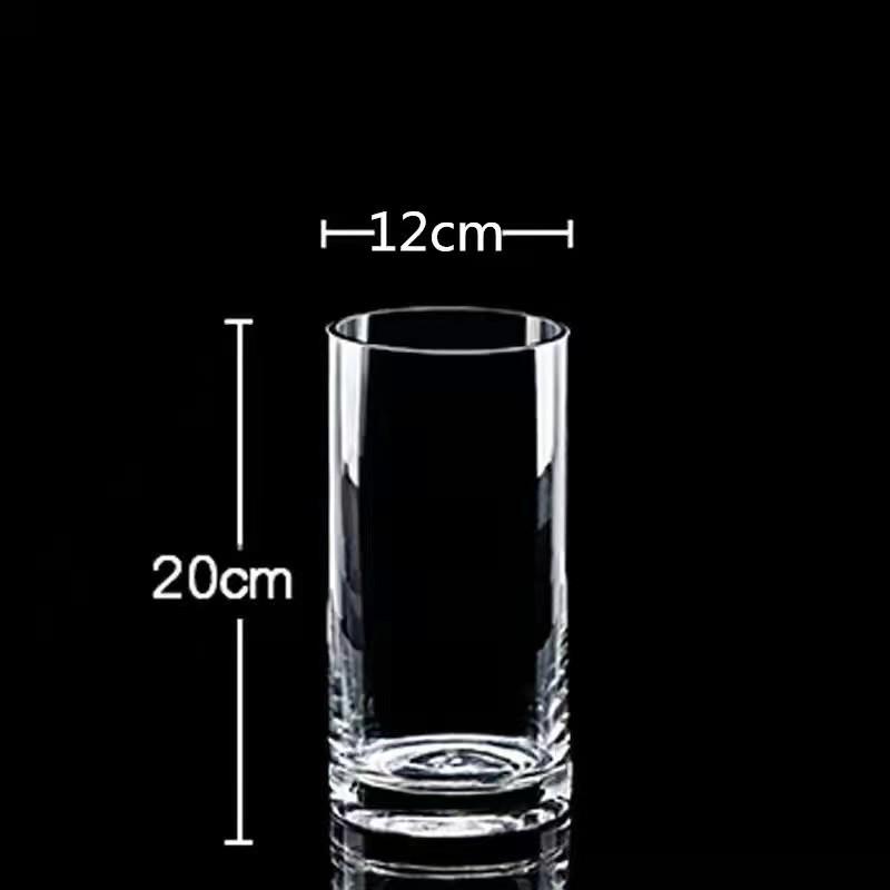 Transparent Glass Flower Vase & Hydroponic Container - Floor Ornament