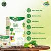 Zandu Ginger Celery Herbal Infusion Tea Pack of 25 X 2 | Ayurvedic Digestive & Refreshing Wellness Blend
