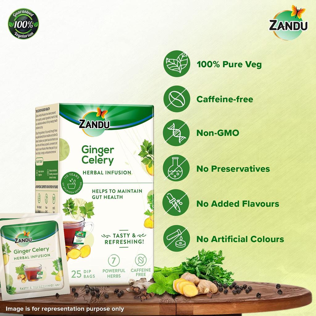 Zandu Ginger Celery Herbal Infusion Tea Pack of 25 X 2 | Ayurvedic Digestive & Refreshing Wellness Blend