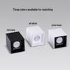 Oeny Dual-Head Surface Mount LED Spotlight
