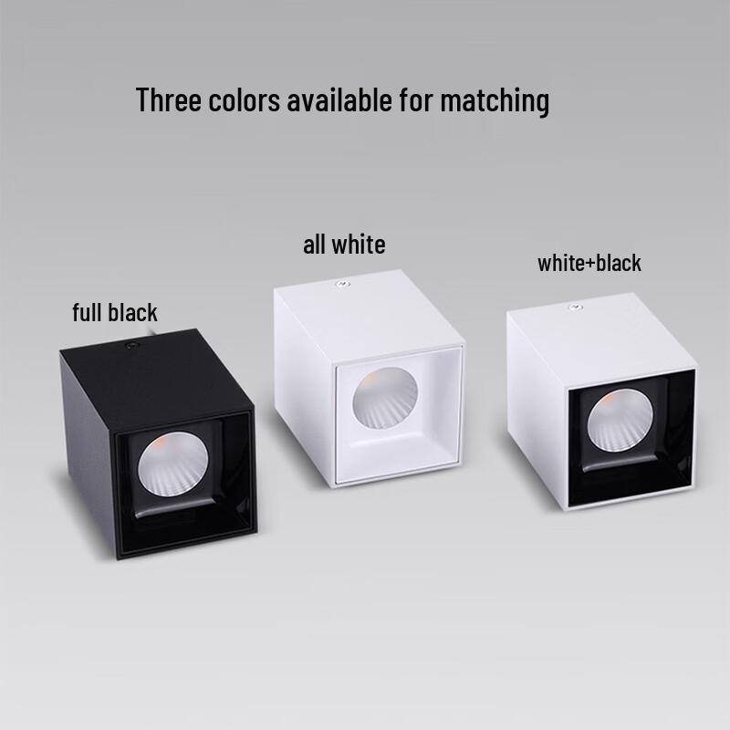 Oeny Dual-Head Surface Mount LED Spotlight