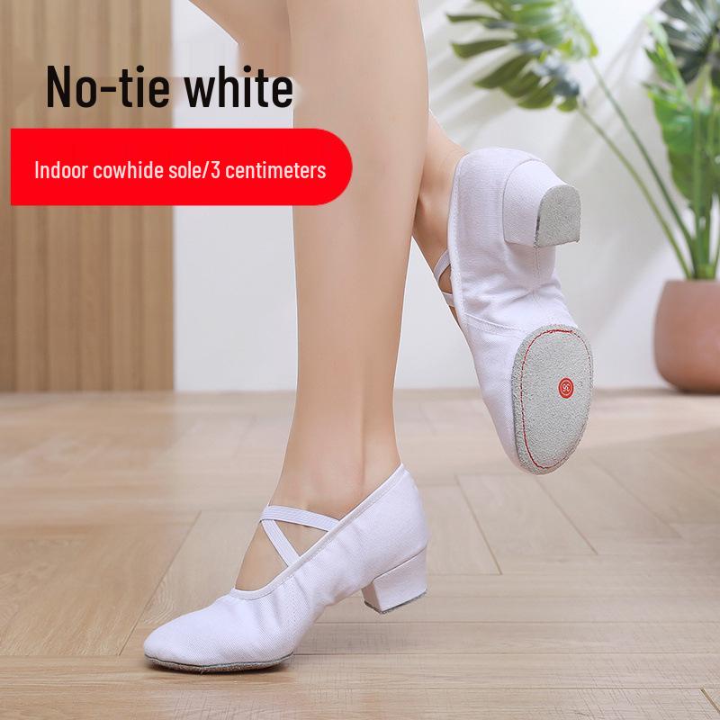 Damen Tanzschuhe ohne Schnürsenkel mit Absatz - Weiche Sohle für Ballett, Yoga, Bauchtanz, Erwachsene, Lehrer und zum Üben.