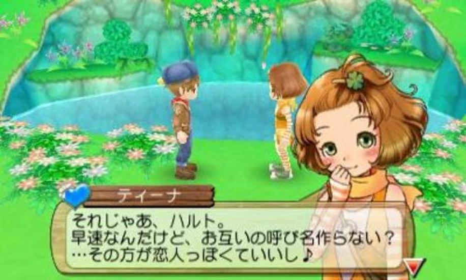 Story of A New Beginning Bonus 3DS Seasons (No Items) -