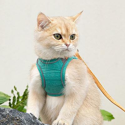 Coleira para Gato Coleira Macia Respirável com Guia para Gato Coleira de Segurança Refletora para Passeios ao Ar Livre e Viagens