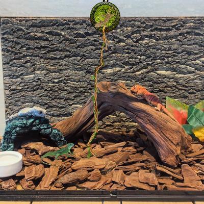 Jumping Spider Enclosure Magnetic Jumping Spider Cave With Rope Bridge Terrarium Decor For Crickets Desk Home Pet Reptile