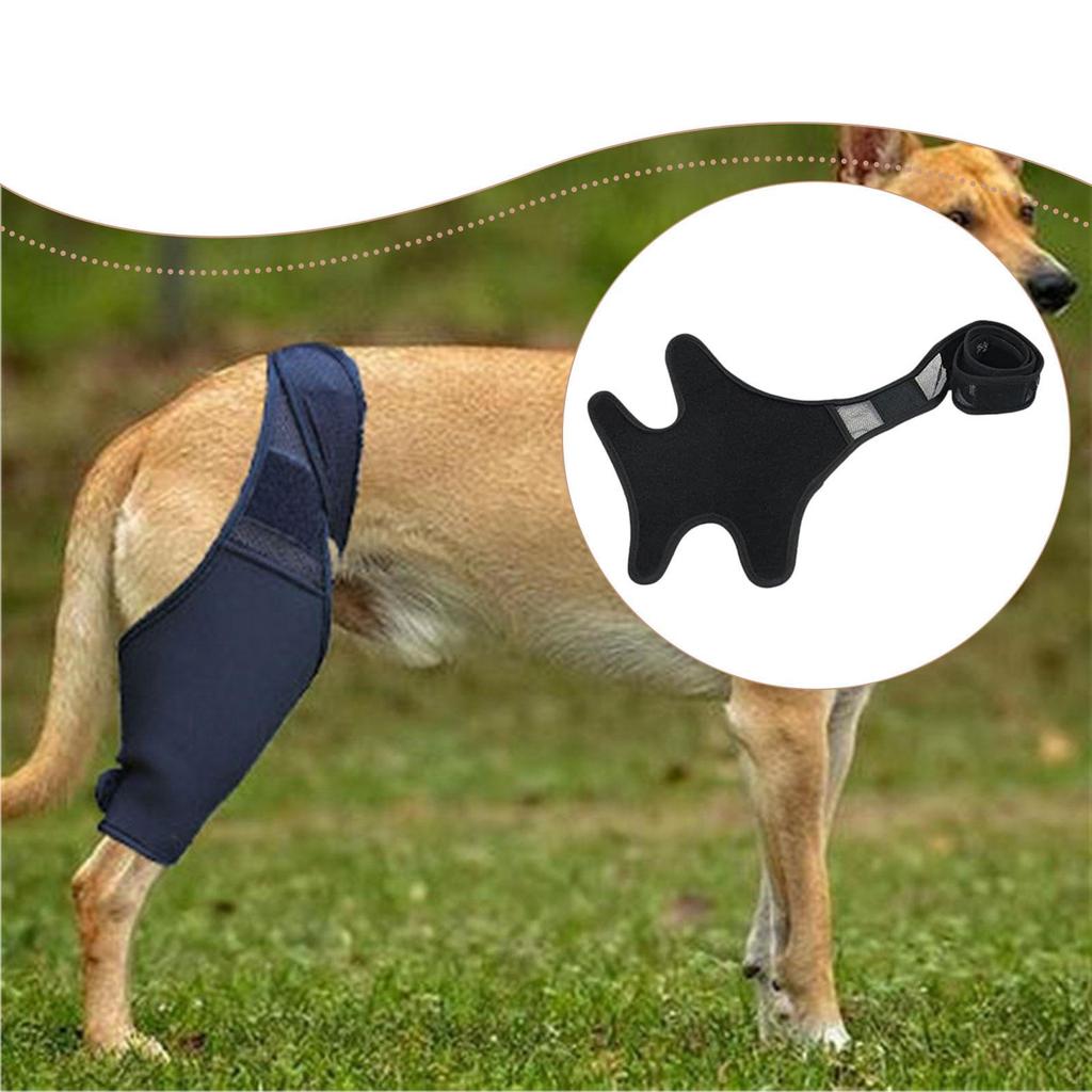 Dog Hip Leg Brace Sleeve Adjustable Quick Installation Soft Anti Slip Strap