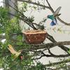 Handgewebtes Vogelnest für Draußen Kolibrihaus Hängendes Vogelhaus Vogelkäfig Ruheplatz Wandmontiertes Outdoor-Vogelhaus