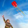 Large Octopus Kites Easy Flyer Kites With Long Tail Beach Kites For Kids And Adults With A 100-Meter Flying Line Random Color