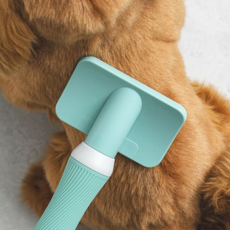 [Evcil Hayvan] Temel Kaygan Fırça Yeşil