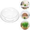 VOSAREA Glass Vase Bowl Glass Bubble Bowl Terrarium Succulent Planter Air Plants Hydroponic Display Floating Candles Clear Bubble Bowl Fish Bowl