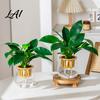 Water Reservoir Planter Self Watering for Indoor Plants Transparent Hydroponic Planter Decorative Clear Plastic Plant Holder Flowerpot with